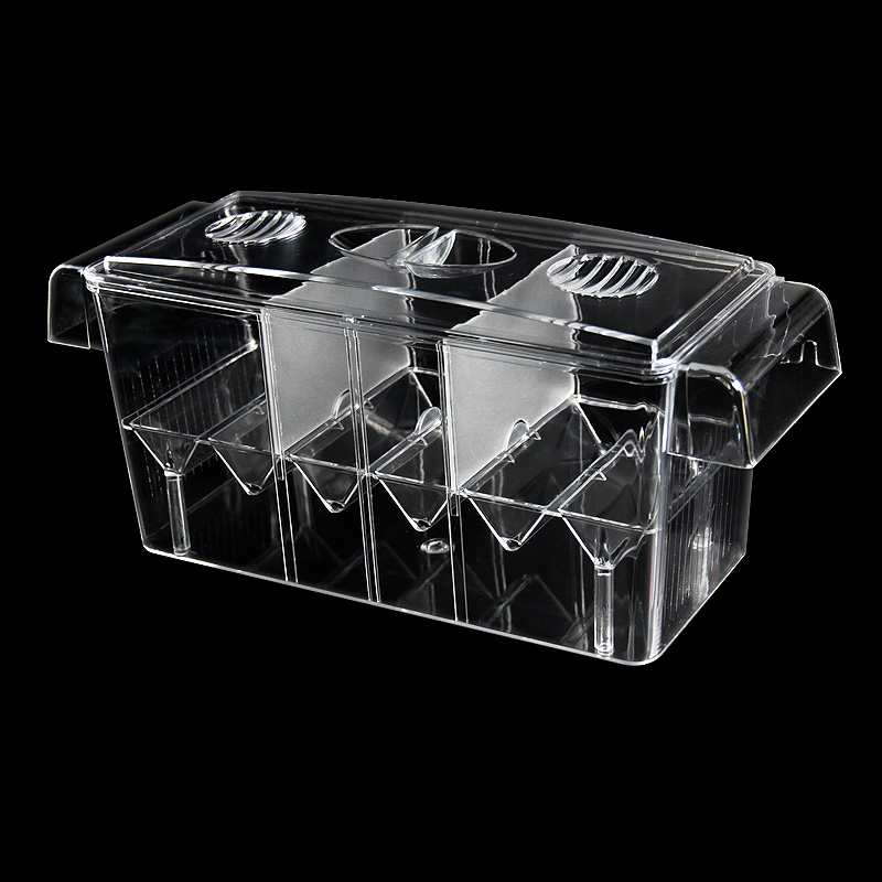 Temizle akvaryum balık tankı i - Betta Fish Tank incelemesi ve fiyatı