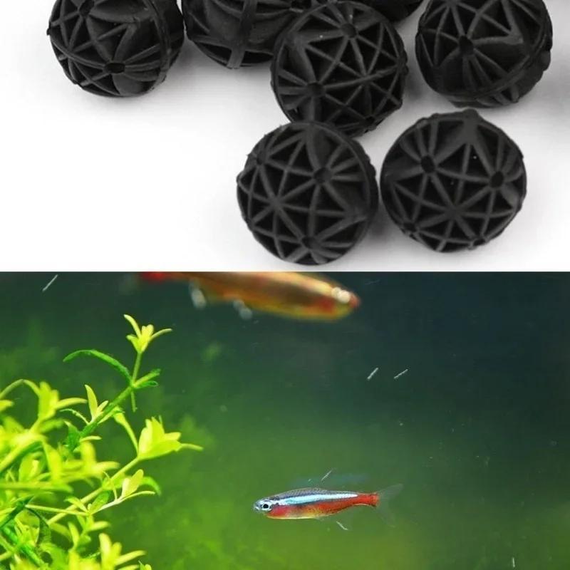 50 Adet 16mm Akvaryum Biyoloji - Fish Aquarium Home incelemesi ve fiyatı