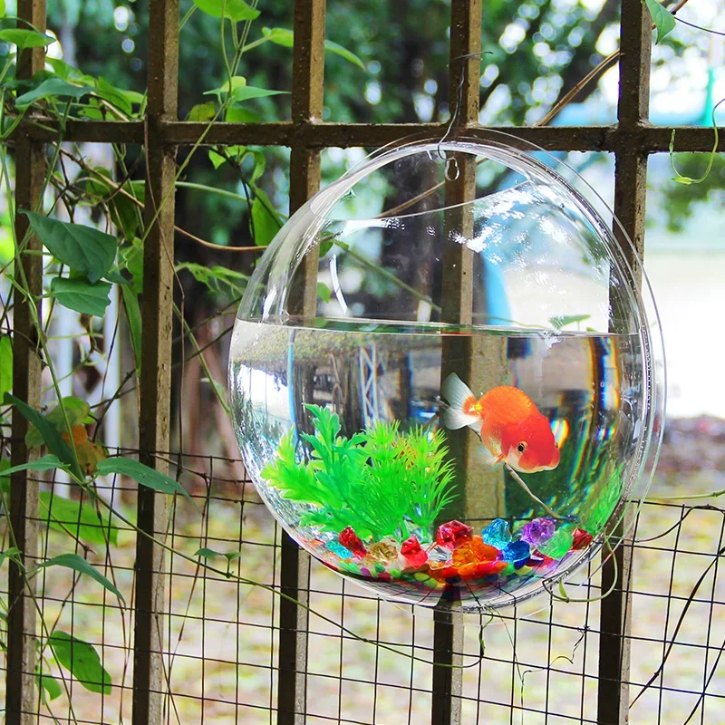 Pinsjar Akrilik Balık Kase Duv - Aquarium Fish Betta incelemesi ve fiyatı